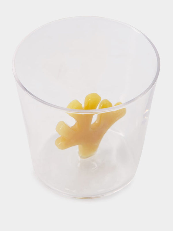 Coral Reef Tumbler Glass