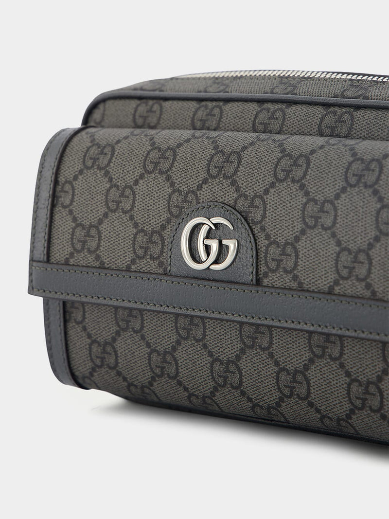 Gucci 746308 2ZGMN OPHIDIA GG MINI Bag Grey