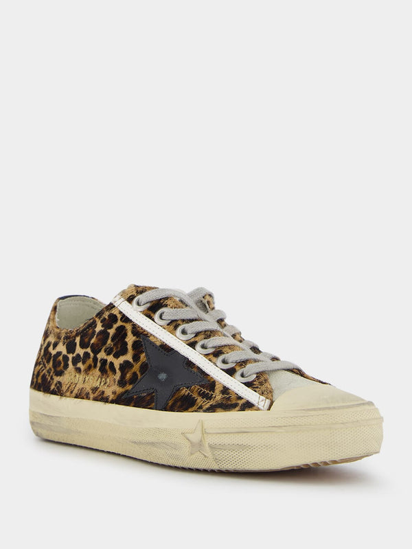 V-Star Leopard Horsy