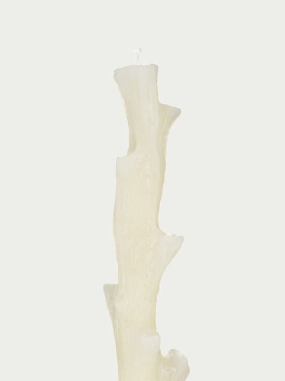 CerabellaCoral Shape Dinner Candle at Fashion Clinic