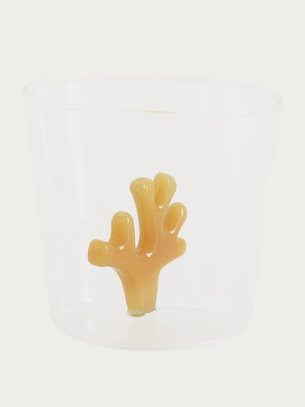 Ichendorf MilanoOrange Coral Reef Tumbler Glass at Fashion Clinic