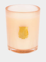 TrudonCandle Tuileries 70g at Fashion Clinic