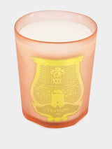TrudonCandle Tuileries 800g at Fashion Clinic